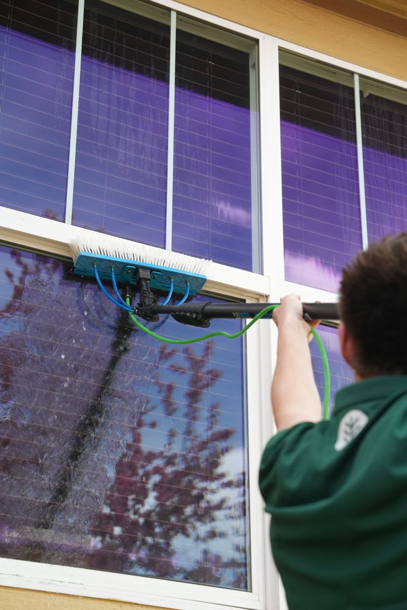 Pine technician squeegeeing an upper-story window with an extension pole