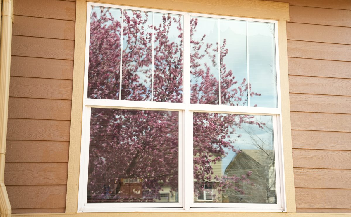 Spotless exterior window after a Pine cleaning
