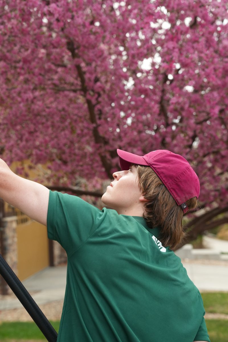 Technician reaching a second-story window with a water-fed pole